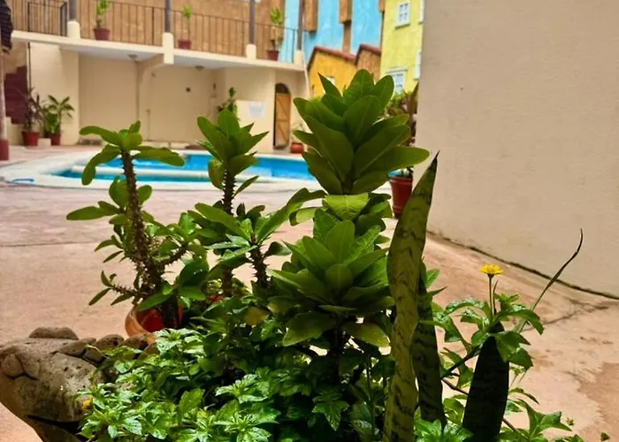 Centro Zihuatanejo